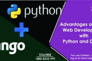 web development Python and django