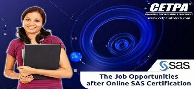 SAS Online Course In Noida