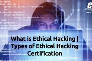 Ethical Hacking online training