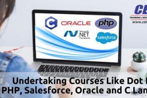 dot net online training course