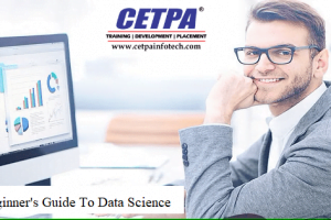 Best Beginner Guide to Data Science