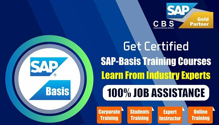 Sap Basis Online Training Institute in Delhi