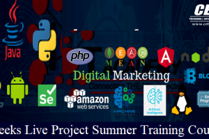 6 Weeks Live Project Summer Training Courses