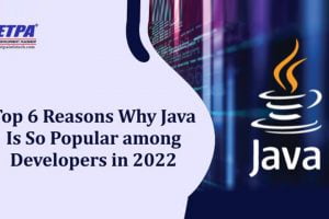 Top 6 Reasons Why Java Is So Popular among Developers in 2022?